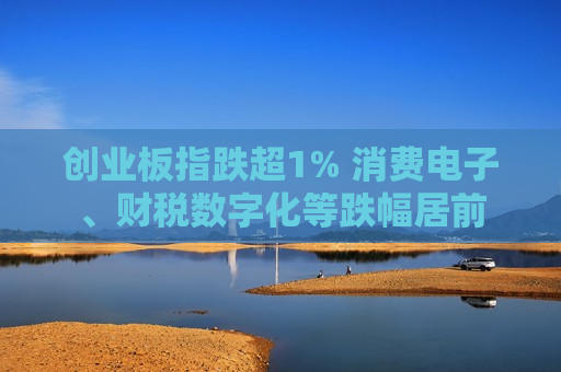 创业板指跌超1% 消费电子、财税数字化等跌幅居前