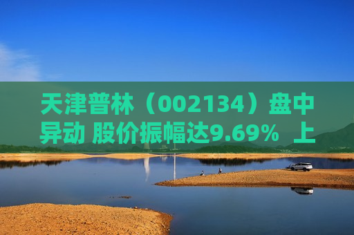 天津普林（002134）盘中异动 股价振幅达9.69%  上涨7.38%（07-15）