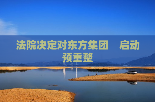 法院决定对东方集团    启动预重整