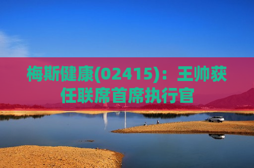 梅斯健康(02415)：王帅获任联席首席执行官