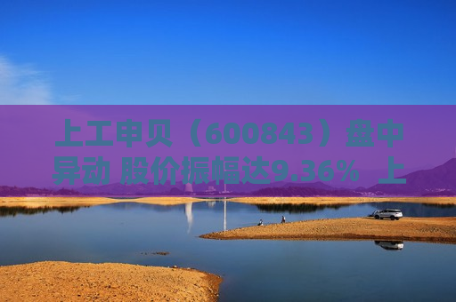 上工申贝（600843）盘中异动 股价振幅达9.36%  上涨6.1%（07-17）