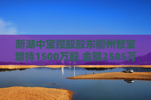 新湖中宝控股股东衢州智宝增持1500万股 金额2505万元