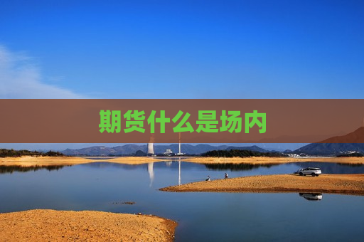 期货什么是场内