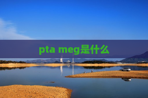 pta meg是什么