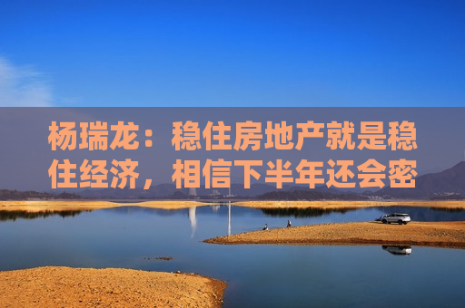 杨瑞龙：稳住房地产就是稳住经济，相信下半年还会密集出台一些房地产政策
