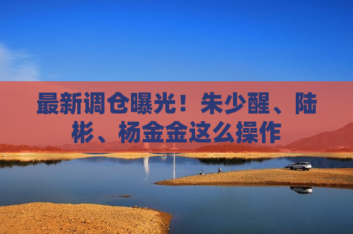 最新调仓曝光！朱少醒、陆彬、杨金金这么操作  第1张