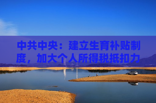  *** 中央：建立生育补贴制度，加大个人所得税抵扣力度