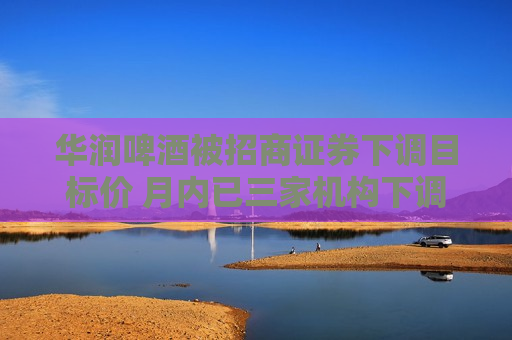 华润啤酒被招商证券下调目标价 月内已三家机构下调  第1张