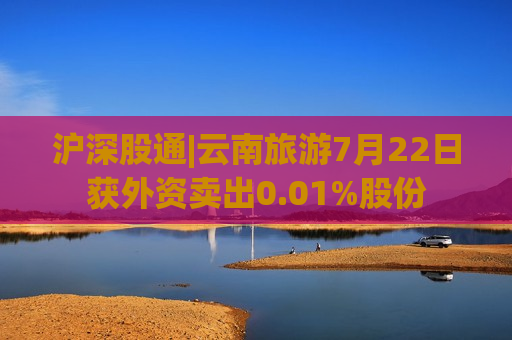 沪深股通|云南旅游7月22日获外资卖出0.01%股份