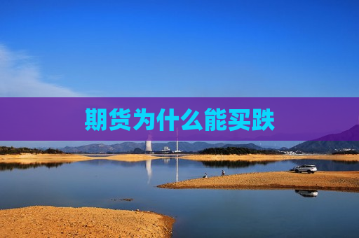 期货为什么能买跌
