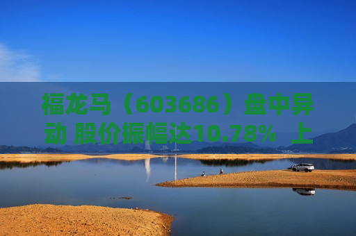福龙马（603686）盘中异动 股价振幅达10.78%  上涨6.11%（07-23）