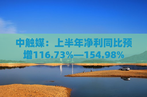 中触媒：上半年净利同比预增116.73%―154.98%  第1张