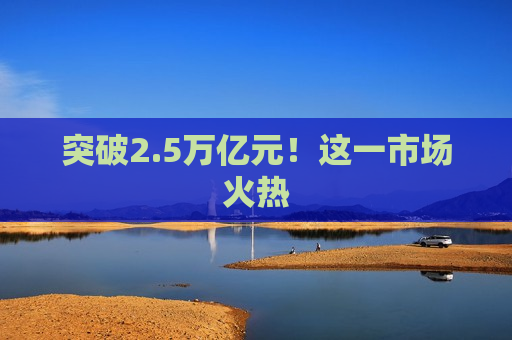 突破2.5万亿元！这一市场火热