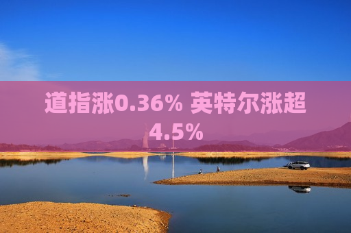 道指涨0.36% 英特尔涨超4.5%  第1张