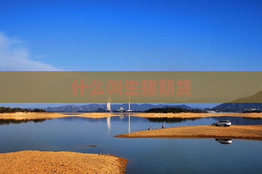 什么叫生猪期货