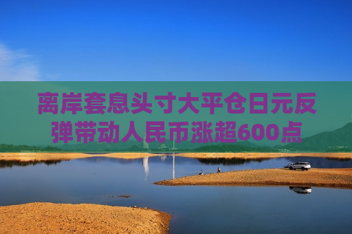 离岸套息头寸大平仓日元反弹带动人民币涨超600点