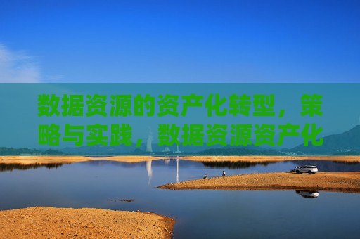 数据资源的资产化转型，策略与实践，数据资源资产化转型，策略与实践探索，数据资源资产化转型，策略与实践的探索