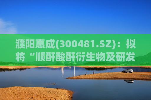 濮阳惠成(300481.SZ)：拟将“顺酐酸酐衍生物及研发中心项目”延期至2024年12月