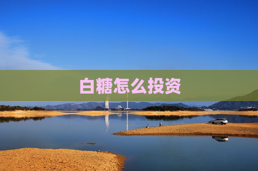 白糖怎么投资
