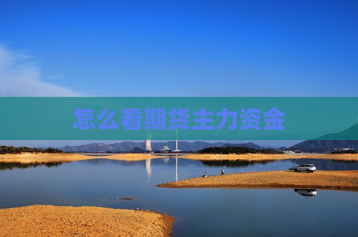 怎么看期货主力资金