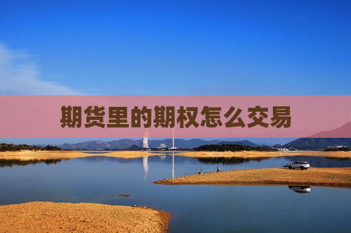 期货里的期权怎么交易