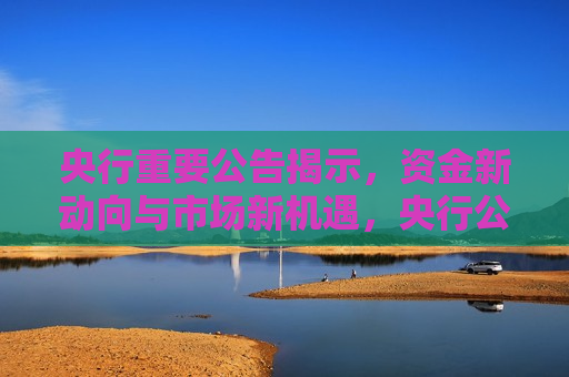 央行重要公告揭示，资金新动向与市场新机遇，央行公告揭示，资金新动向引领市场新机遇，央行公告揭示，资金新动向引领市场新机遇