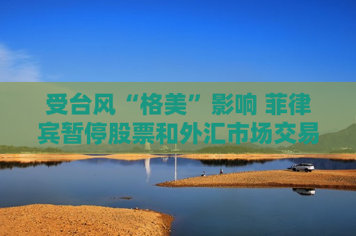 受台风“格美”影响 菲律宾暂停股票和外汇市场交易  第1张