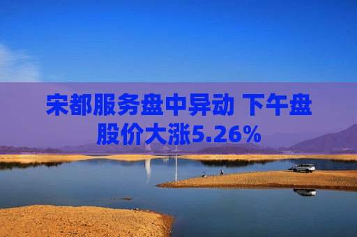 宋都服务盘中异动 下午盘股价大涨5.26%