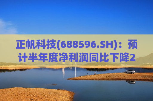 正帆科技(688596.SH)：预计半年度净利润同比下降27%到33%