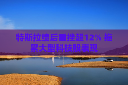 特斯拉绩后重挫超12% 拖累大型科技股表现