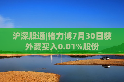 沪深股通|格力博7月30日获外资买入0.01%股份
