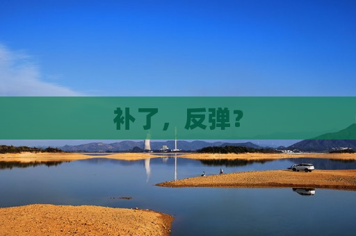 补了，反弹？
