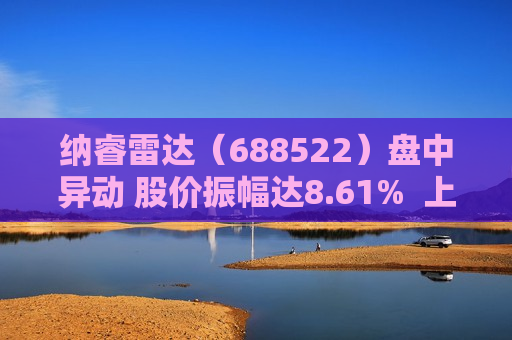 纳睿雷达（688522）盘中异动 股价振幅达8.61%  上涨7.35%（07-31）