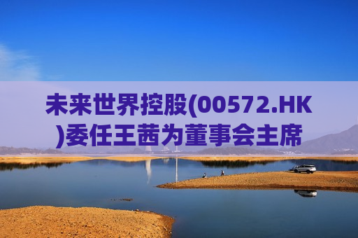 未来世界控股(00572.HK)委任王茜为董事会主席