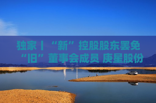 独家丨“新”控股股东罢免“旧”董事会成员 庚星股份总经理现场激辩：不符合规定