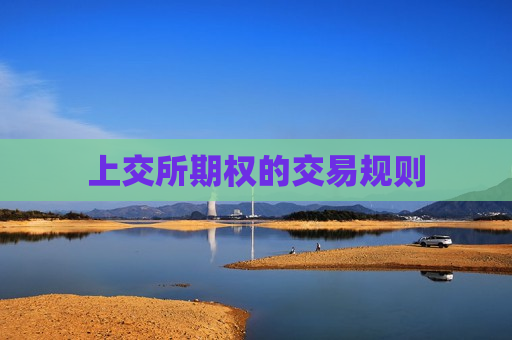 上交所期权的交易规则  第1张