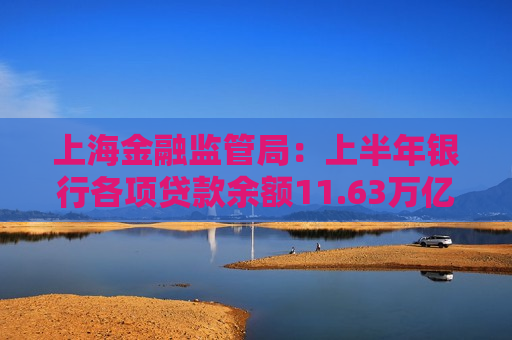 上海金融监管局：上半年银行各项贷款余额11.63万亿元，同比增长6.96%
