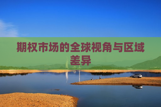 期权市场的全球视角与区域差异