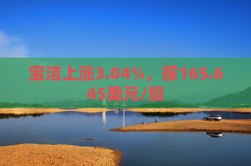 宝洁上涨3.04%，报165.645美元/股