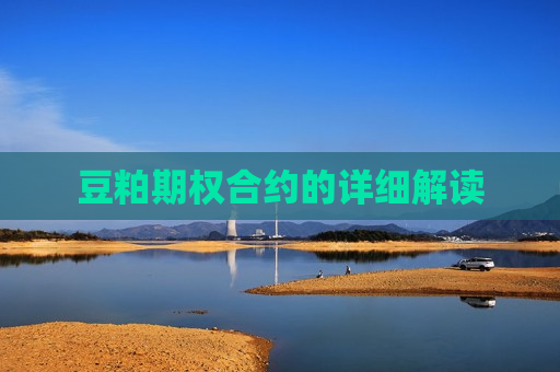 豆粕期权合约的详细解读