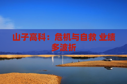 山子高科：危机与自救 业绩多波折  第1张