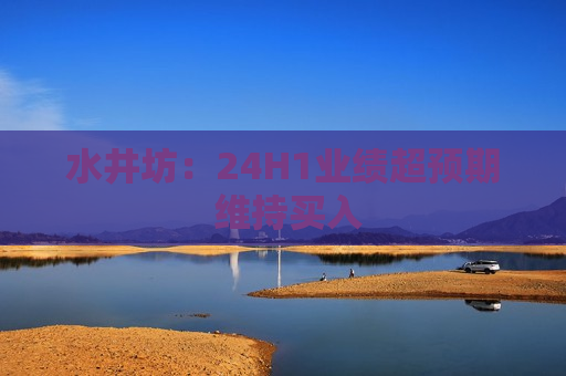 水井坊：24H1业绩超预期 维持买入