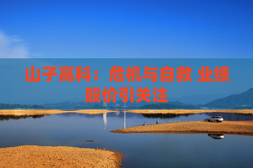 山子高科：危机与自救 业绩股价引关注