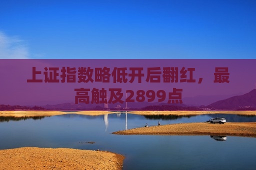 上证指数略低开后翻红，更高触及2899点  第1张