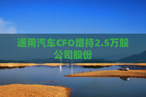 通用汽车CFO增持2.5万股公司股份  第1张
