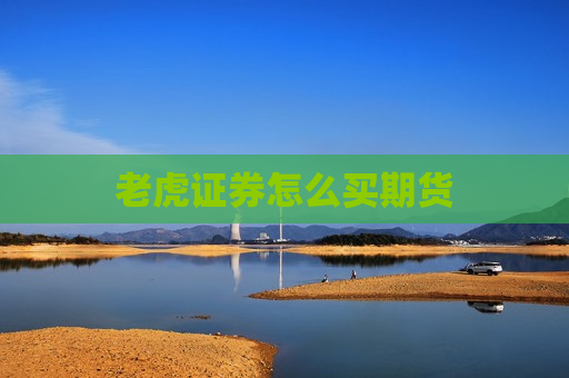 老虎证券怎么买期货  第1张