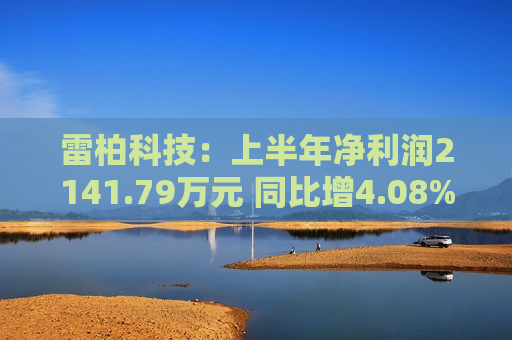雷柏科技：上半年净利润2141.79万元 同比增4.08%