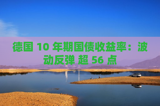 德国 10 年期国债收益率：波动反弹 超 56 点