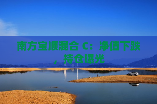 南方宝顺混合 C：净值下跌，持仓曝光  第1张