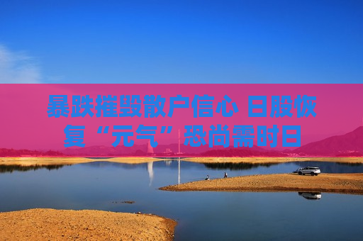 暴跌摧毁散户信心 日股恢复“元气”恐尚需时日  第1张